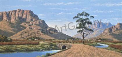 17. Mountain in the karoo, 123x223cm , brown frame