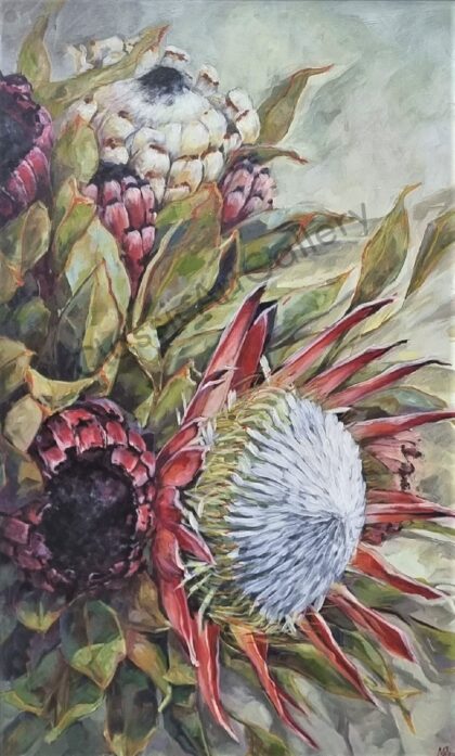 40. Protea, 93x 129cm, white frame