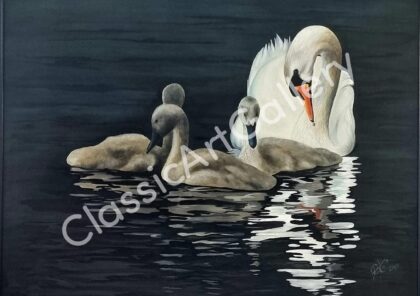 62. Swans, 109x139cm, white frame