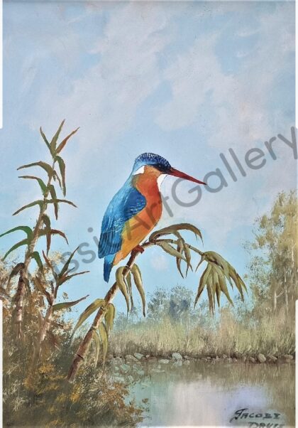 86. Kingfisher, 47x58cm, brown frame