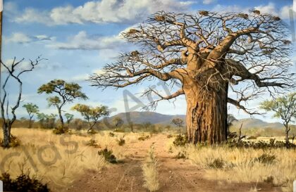 157. Tree in the savannah, 112x76cm, brown frame