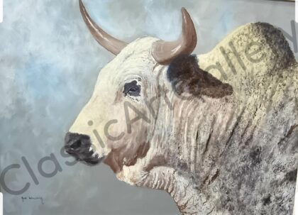161. White bull, 97x80cm, brown frame.