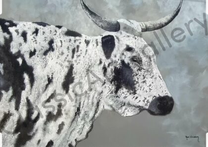162. Black and white bull, 97x80cm, brown frame.