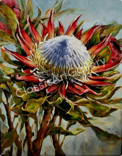 164. Protea, 79x95cm, white frame